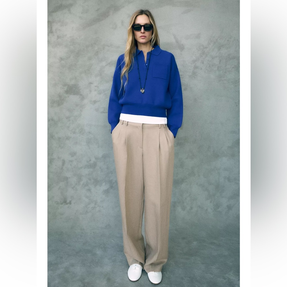 Zara Straight Cut Pleated Pants (XL) Taupe Brown